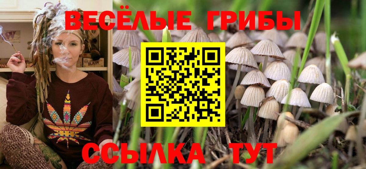 Гусиноозёрск  Псилоцибиновые грибы прущие грибы  закладка  Вход с VPN 