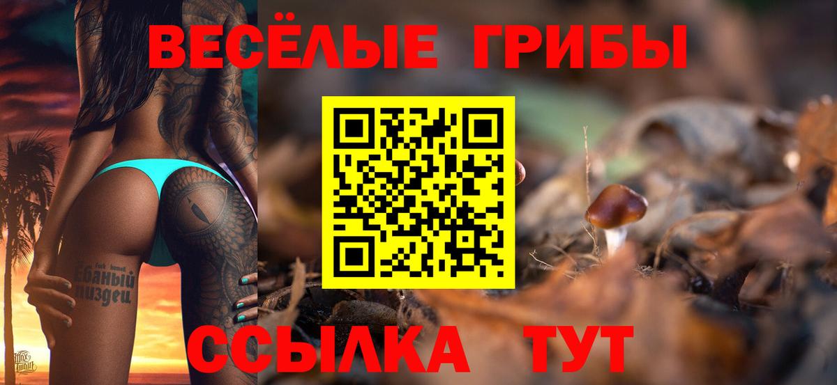 Галлюциногенные грибы ЛСД Гусиноозёрск